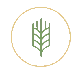 antiocidant dates icon